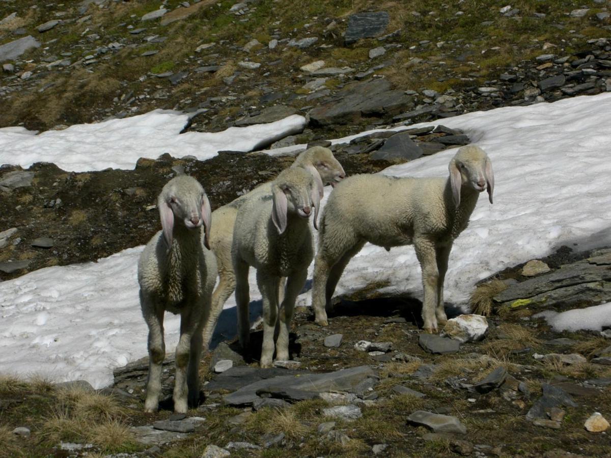 Apart Lisa Mayrhofen Buitenkant foto